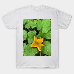 Yellow squash flower T-Shirt